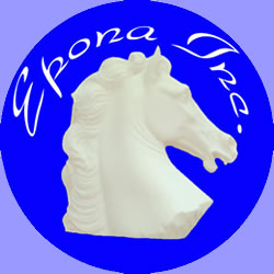 Your Logo